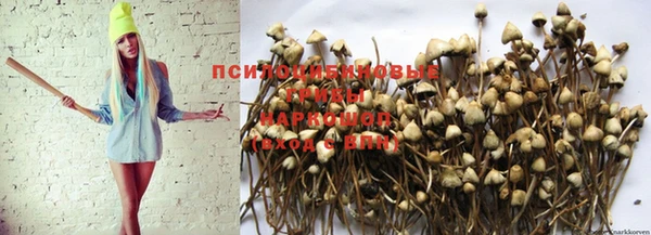 ALPHA-PVP Беломорск