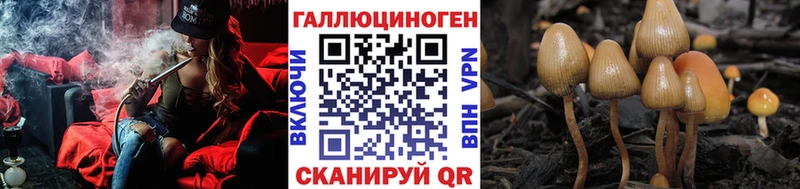 закладка  Верхняя Пышма  Псилоцибиновые грибы Psilocybine cubensis 