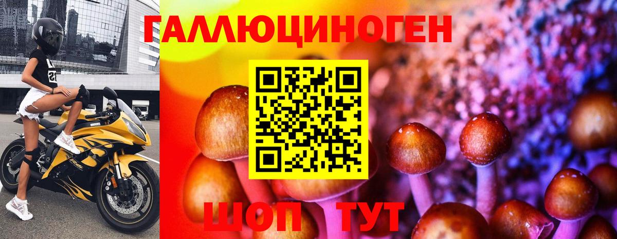 Псилоцибиновые грибы Magic Shrooms  Вход с VPN  Верхняя Пышма 