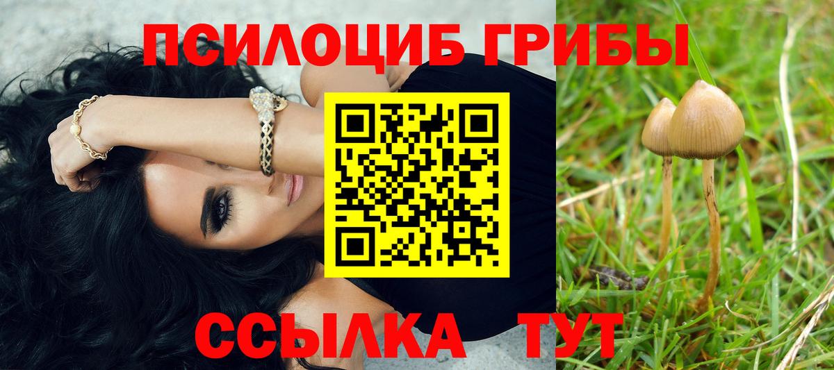 Галлюциногенные грибы MAGIC MUSHROOMS Верхняя Пышма